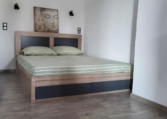 公寓 Panos 卡泰里尼